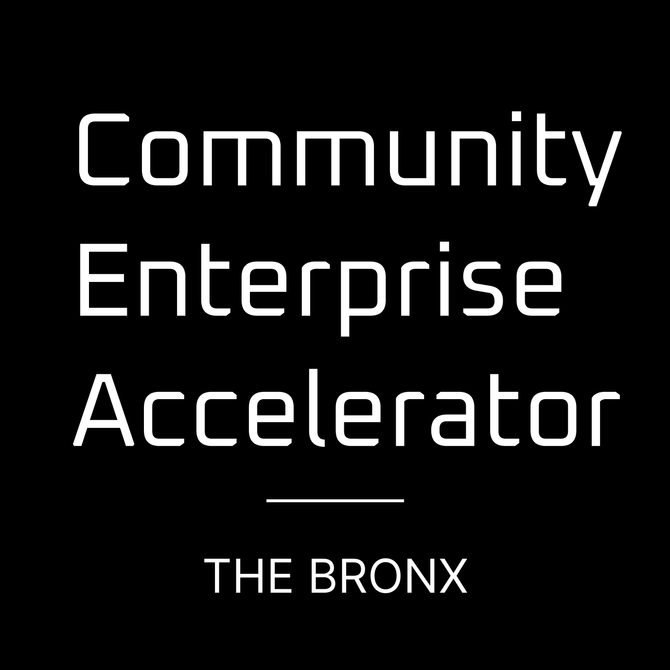 Community Enterprise Accelerator - The Bronx